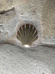 Coquille St-Jacques IMG_3936 2.jpg