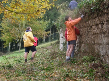 PA291642.JPG