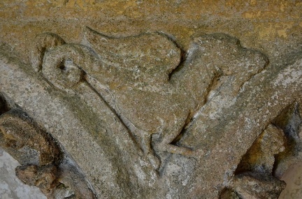 DetailDragon