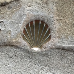 Coquille St-Jacques IMG_3936 2.jpg